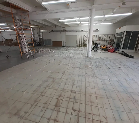 Demolition/Junk Removal